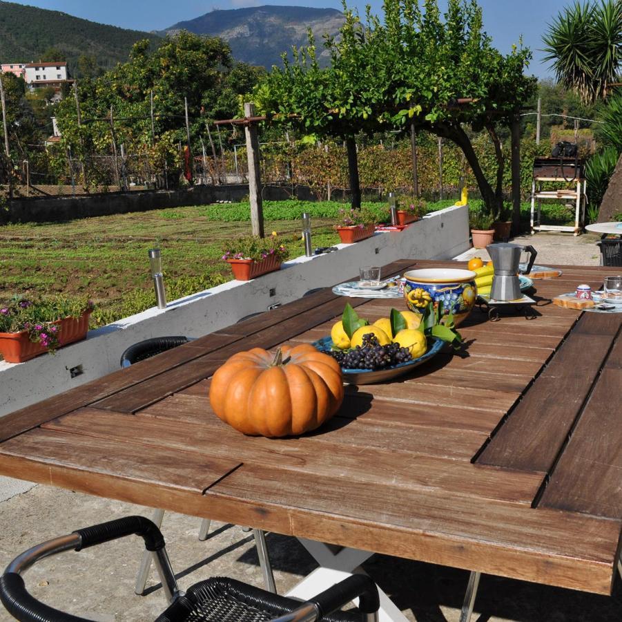 Bed and Breakfast Contrada Vigna В'єтрі Екстер'єр фото
